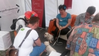 201407-csd-gespraech-foto-leon.jpg