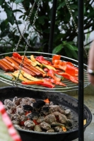 20140829ff_jubilaeumsfeier_2014-78.jpg