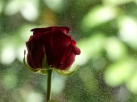 20190525_jubilaeum_zulauf_32.jpg